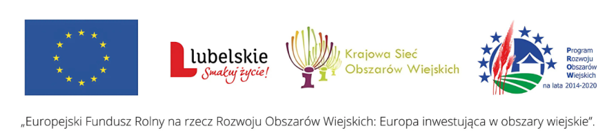 Baner z logotypami UE