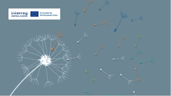 plakat Programu; rozdmuchany dmuchawiec na szarym tle symbolizuje "rozsianie" efektów projektów