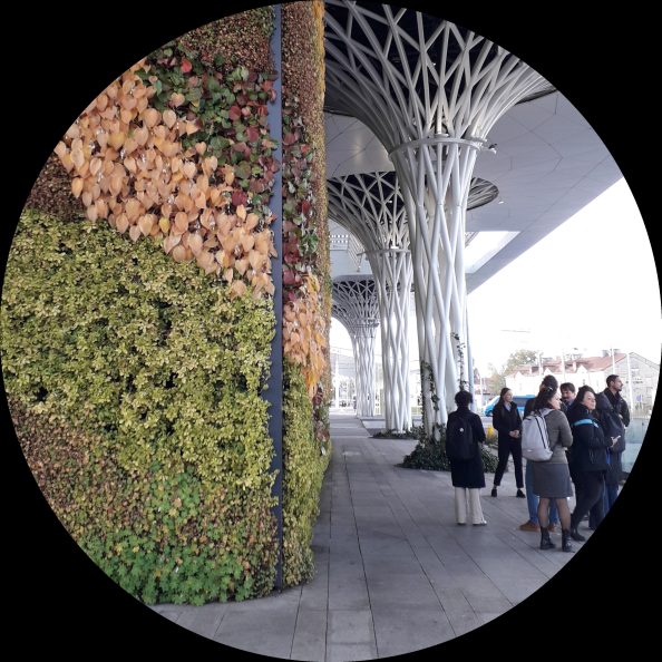 Wizyta studyjna na Dworcu Głównym w Lublinie. Widać ścianę pełną zieleni i białe filary