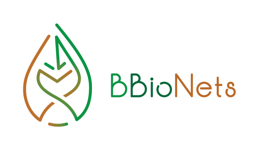 Grafika przedstawia logo BBioNets