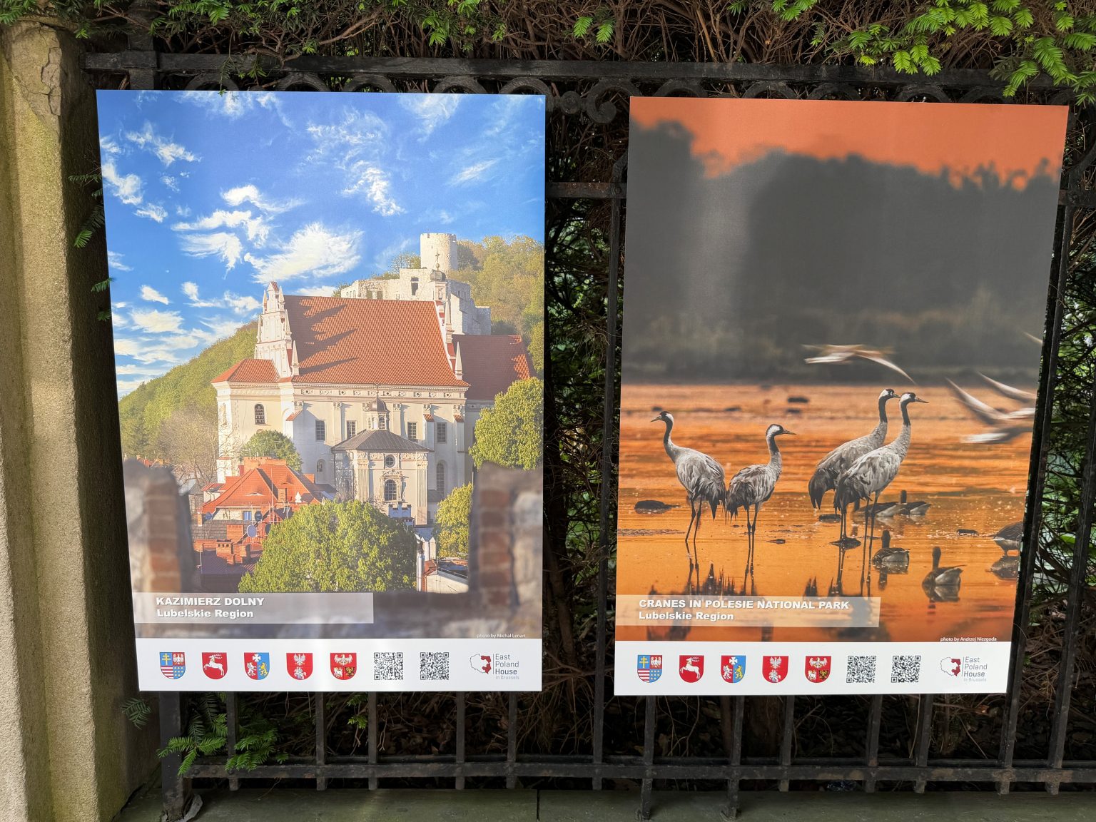 Wystawa zdjęć powieszona na ogrodzeniu